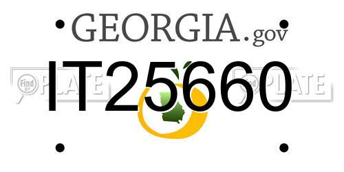 IT25660 Georgia License Plate
