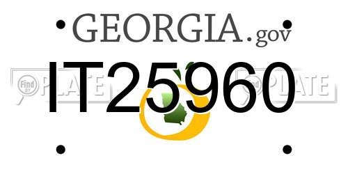 IT25960 Georgia License Plate