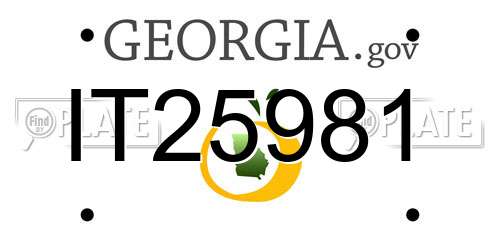 IT25981 Georgia License Plate