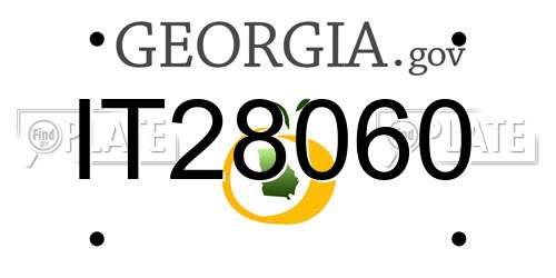 IT28060 Georgia License Plate