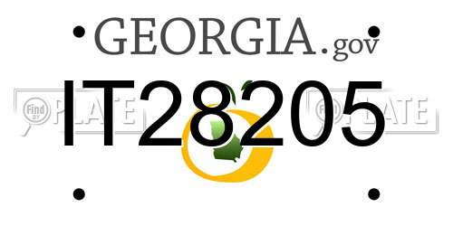 IT28205 Georgia License Plate
