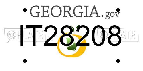 IT28208 Georgia License Plate