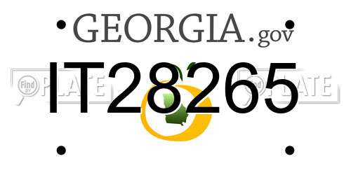IT28265 Georgia License Plate