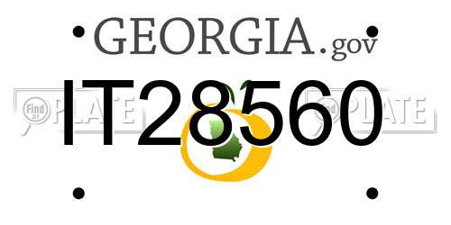 IT28560 Georgia License Plate