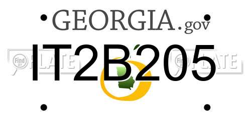 IT2B205 Georgia License Plate