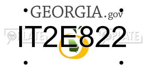 IT2E822 Georgia License Plate