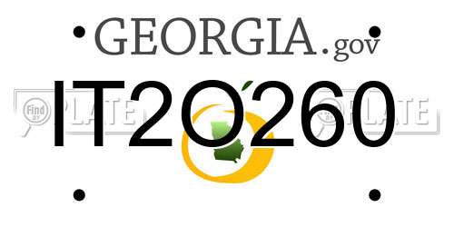 IT2O260 Georgia License Plate
