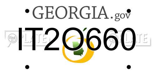 IT2O660 Georgia License Plate