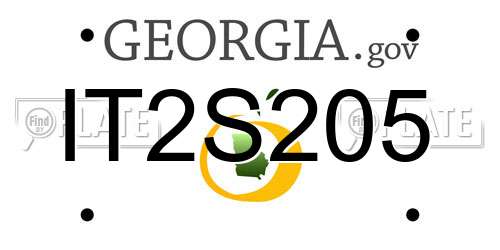 IT2S205 Georgia License Plate