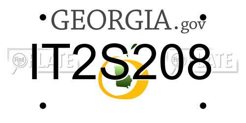 IT2S208 Georgia License Plate