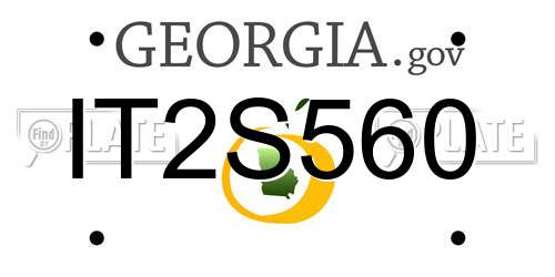 IT2S560 Georgia License Plate