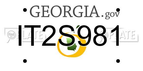 IT2S981 Georgia License Plate