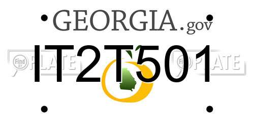 IT2T501 Georgia License Plate