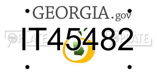 IT45482 Georgia License Plate