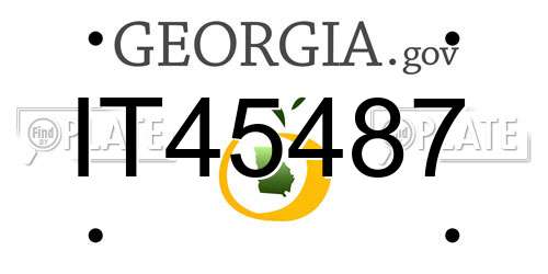 IT45487 Georgia License Plate