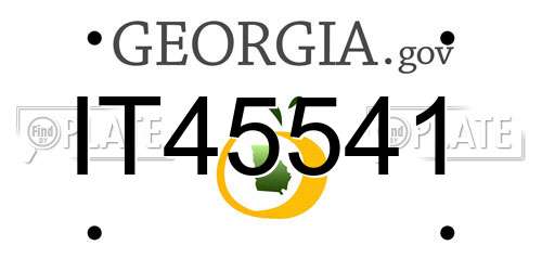 IT45541 Georgia License Plate