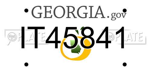 IT45841 Georgia License Plate