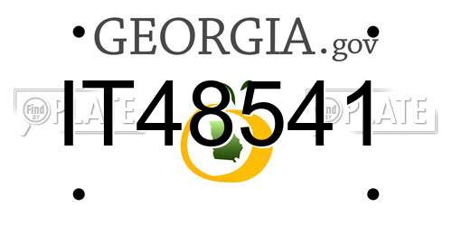 IT48541 Georgia License Plate