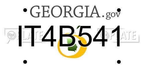 IT4B541 Georgia License Plate