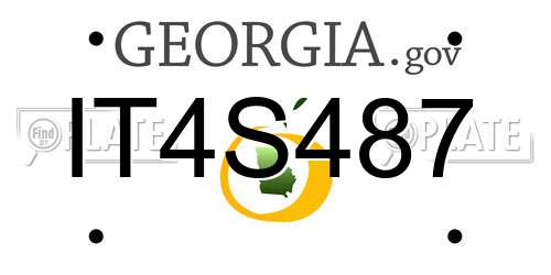 IT4S487 Georgia License Plate