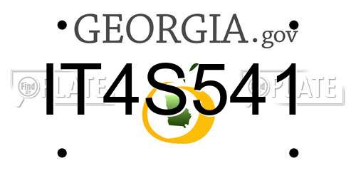 IT4S541 Georgia License Plate