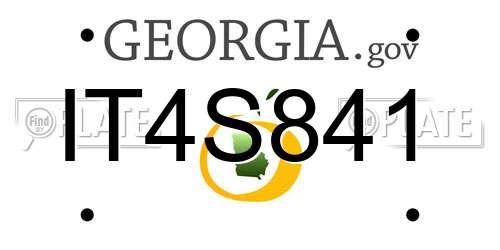 IT4S841 Georgia License Plate