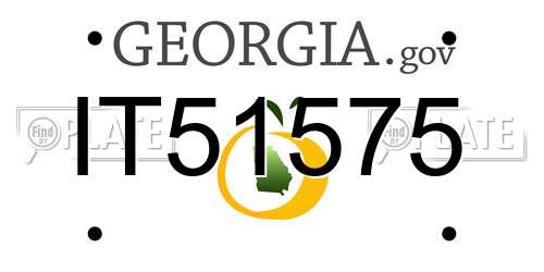 IT51575 Georgia License Plate