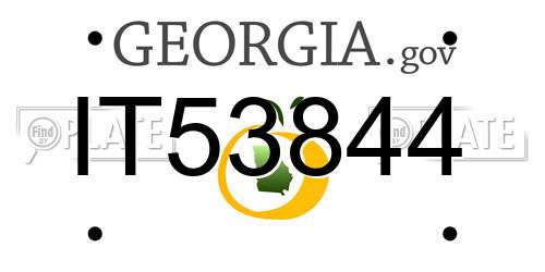 IT53844 Georgia License Plate