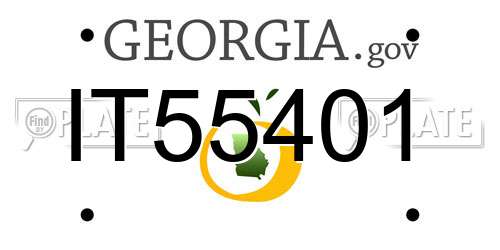 IT55401 Georgia License Plate