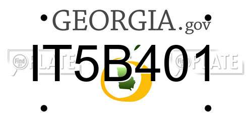 IT5B401 Georgia License Plate