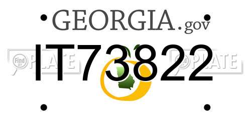 IT73822 Georgia License Plate