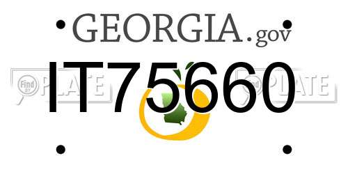 IT75660 Georgia License Plate