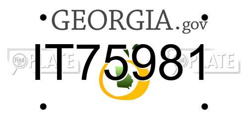 IT75981 Georgia License Plate