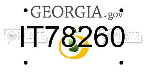 IT78260 Georgia License Plate