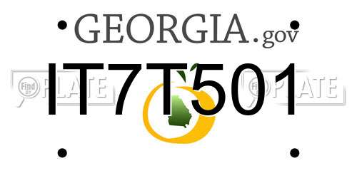IT7T501 Georgia License Plate