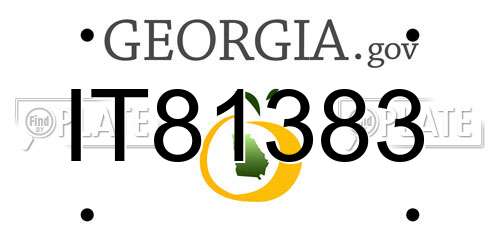 IT81383 Georgia License Plate