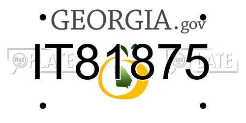 IT81875 Georgia License Plate