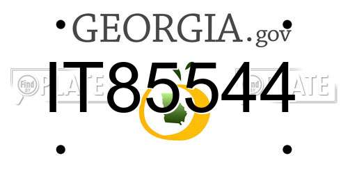 IT85544 Georgia License Plate