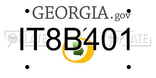 IT8B401 Georgia License Plate