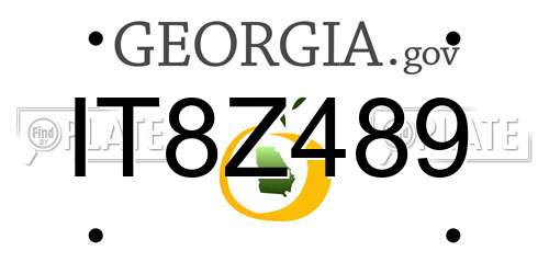 IT8Z489 Georgia License Plate