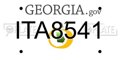 ITA8541 Georgia License Plate