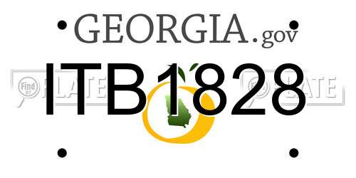 ITB1828 Georgia License Plate