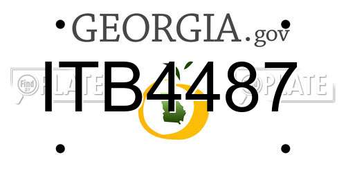 ITB4487 Georgia License Plate