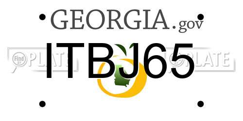 ITBJ65 Georgia License Plate