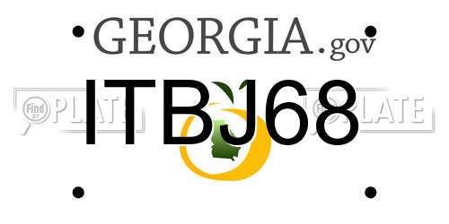 ITBJ68 Georgia License Plate