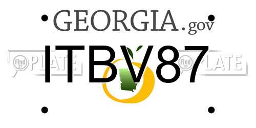 ITBV87 Georgia License Plate