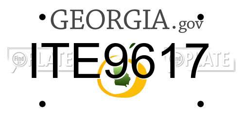 ITE9617 Georgia License Plate