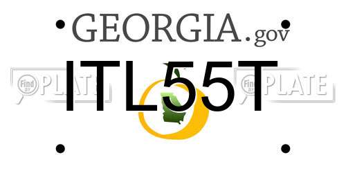 ITL55T Georgia License Plate