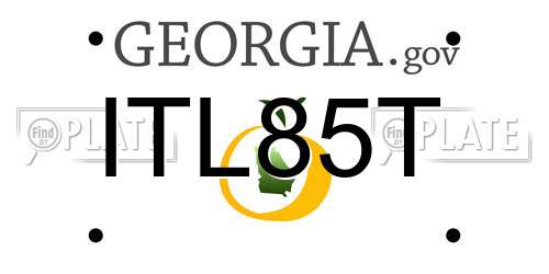 ITL85T Georgia License Plate