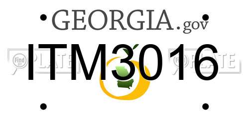 ITM3016 Georgia License Plate